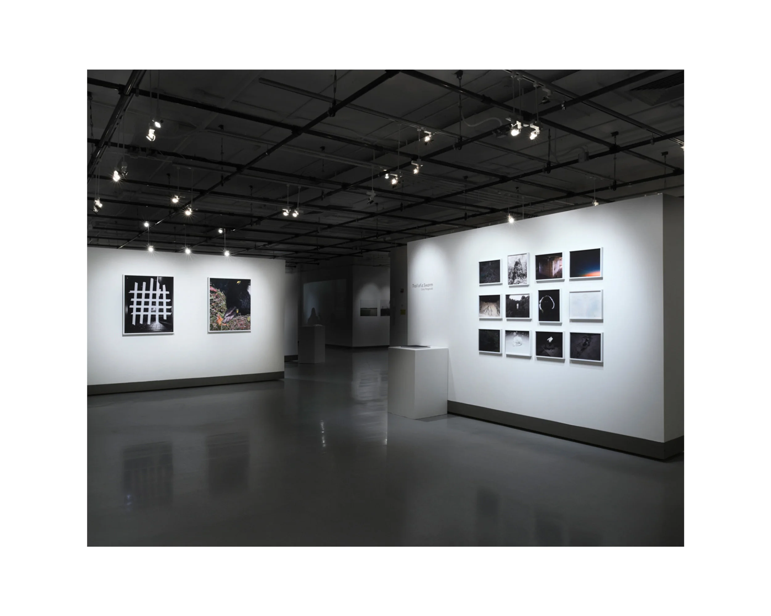 Installation View, 2016