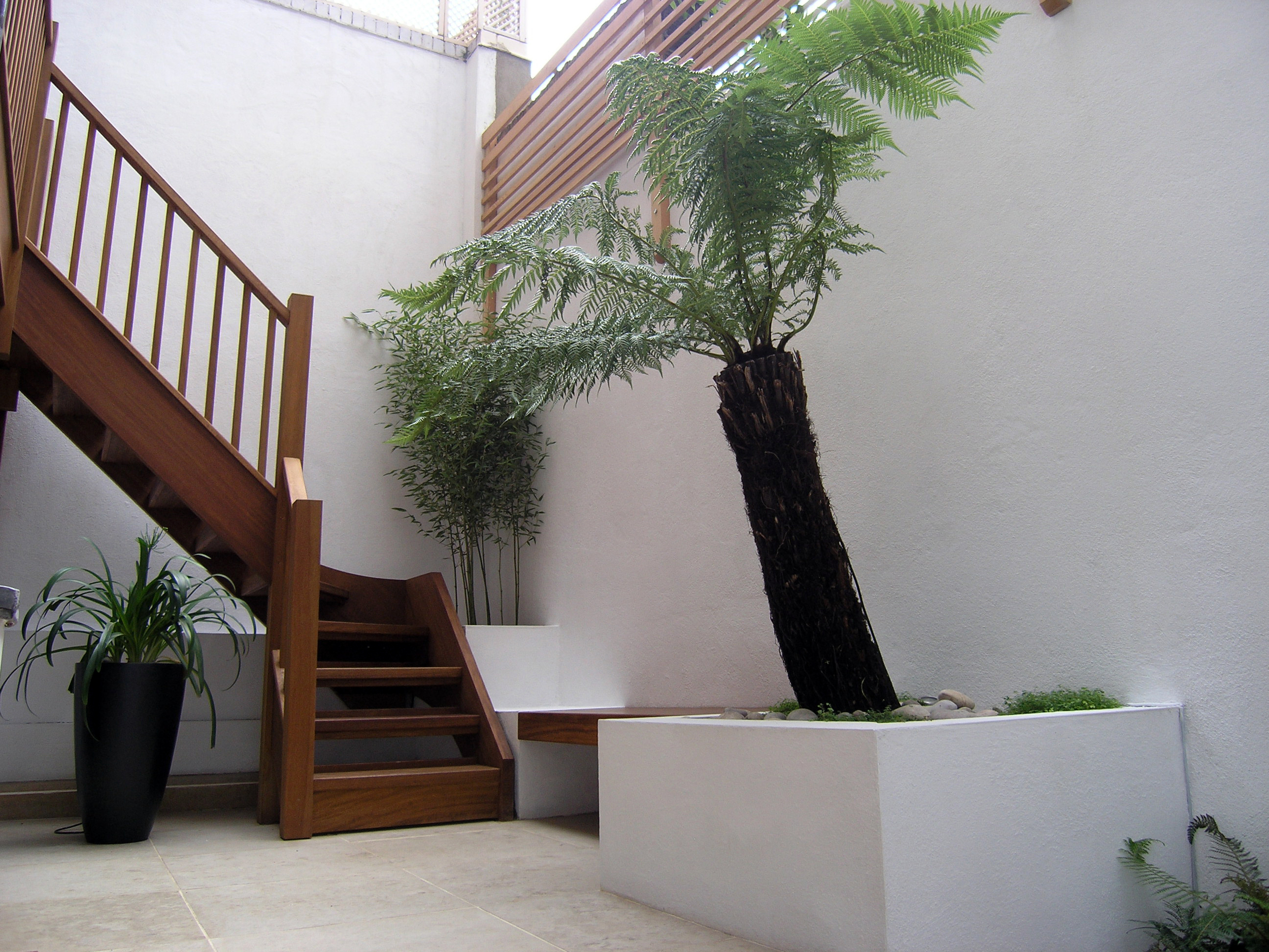 Small courtyard garden in N1 given makeover with iroko wood and plants
