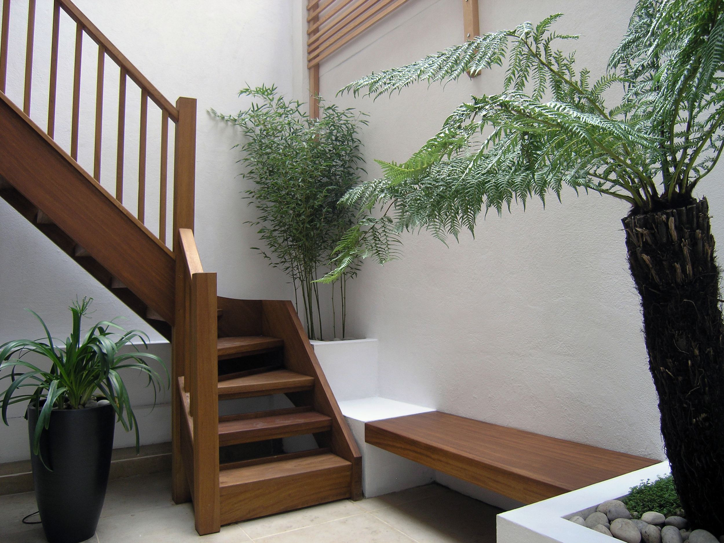Bespoke iroko staircase and plants transform shady courtyard in N1