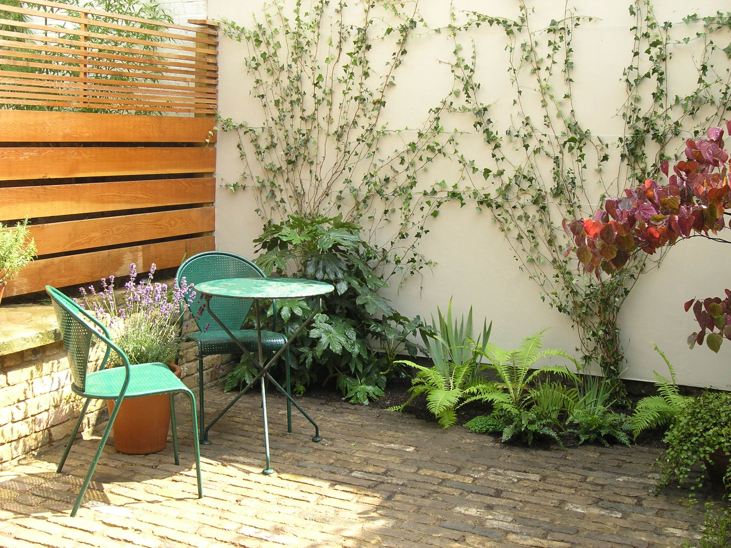  Small courtyard garden in North London redesigned by Living Gardens with bespoke planting scheme and seating area on a patio made from reclaimed bricks. 