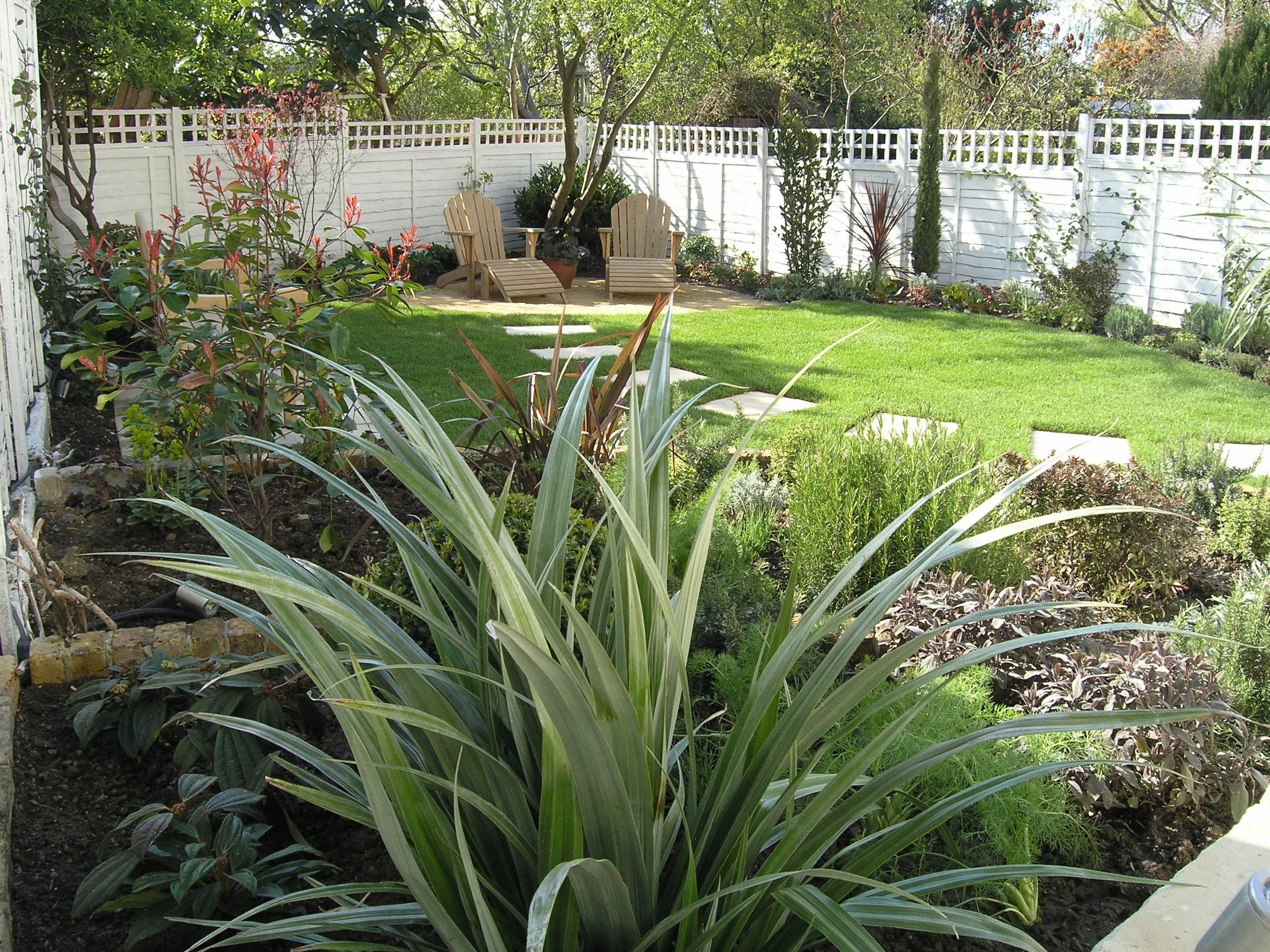 Mediterranean planting scheme in North London irregular shaped back garden