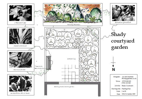 A bespoke planting plan for a shady North London courtyard garden
