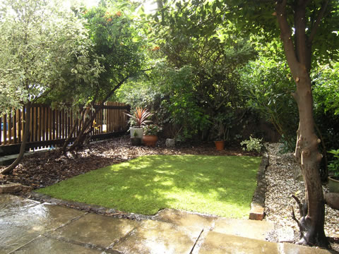 After the a garden makeover this North London garden has a new lawn and low maintenance plants