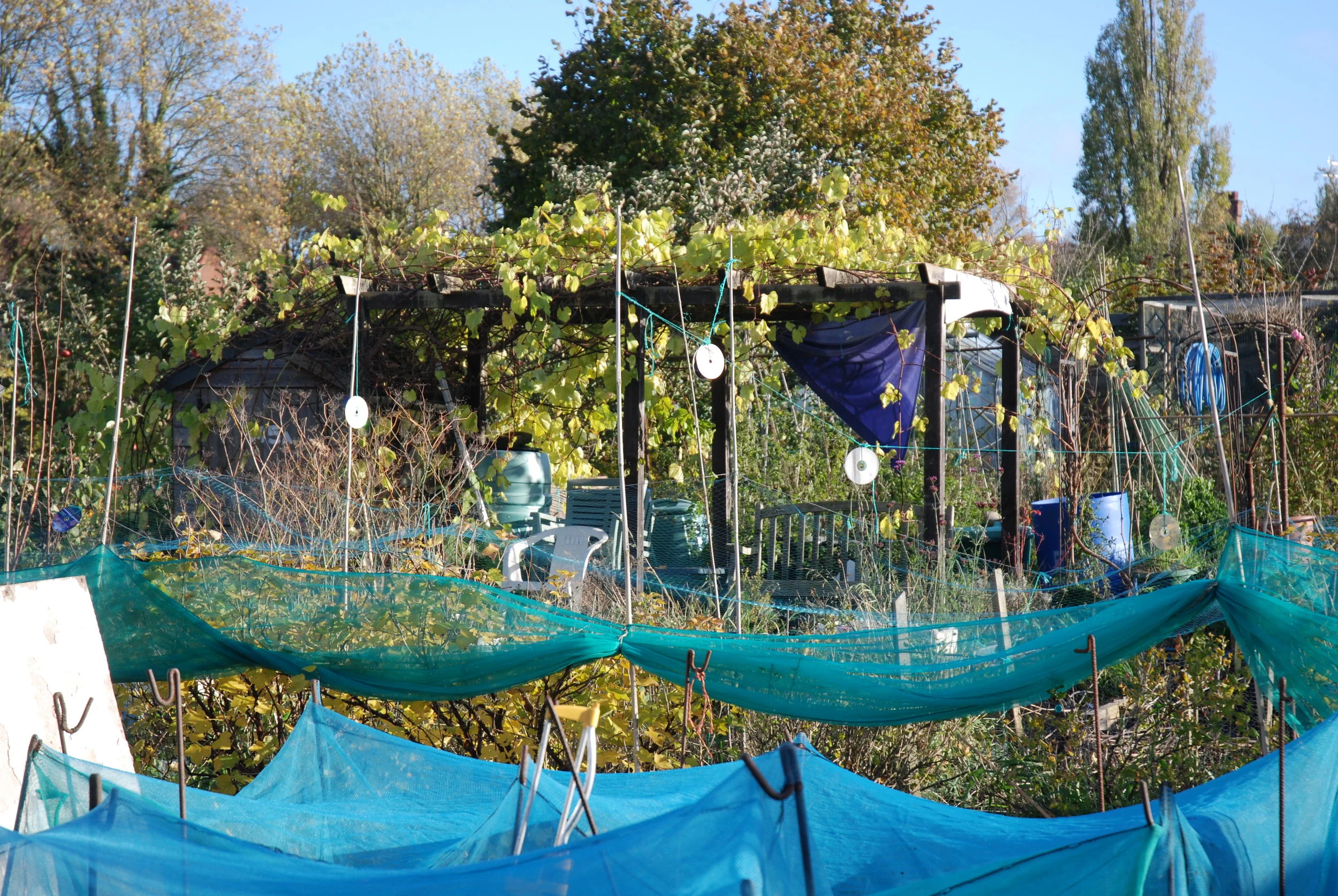 Sarah & Rahid’s plot