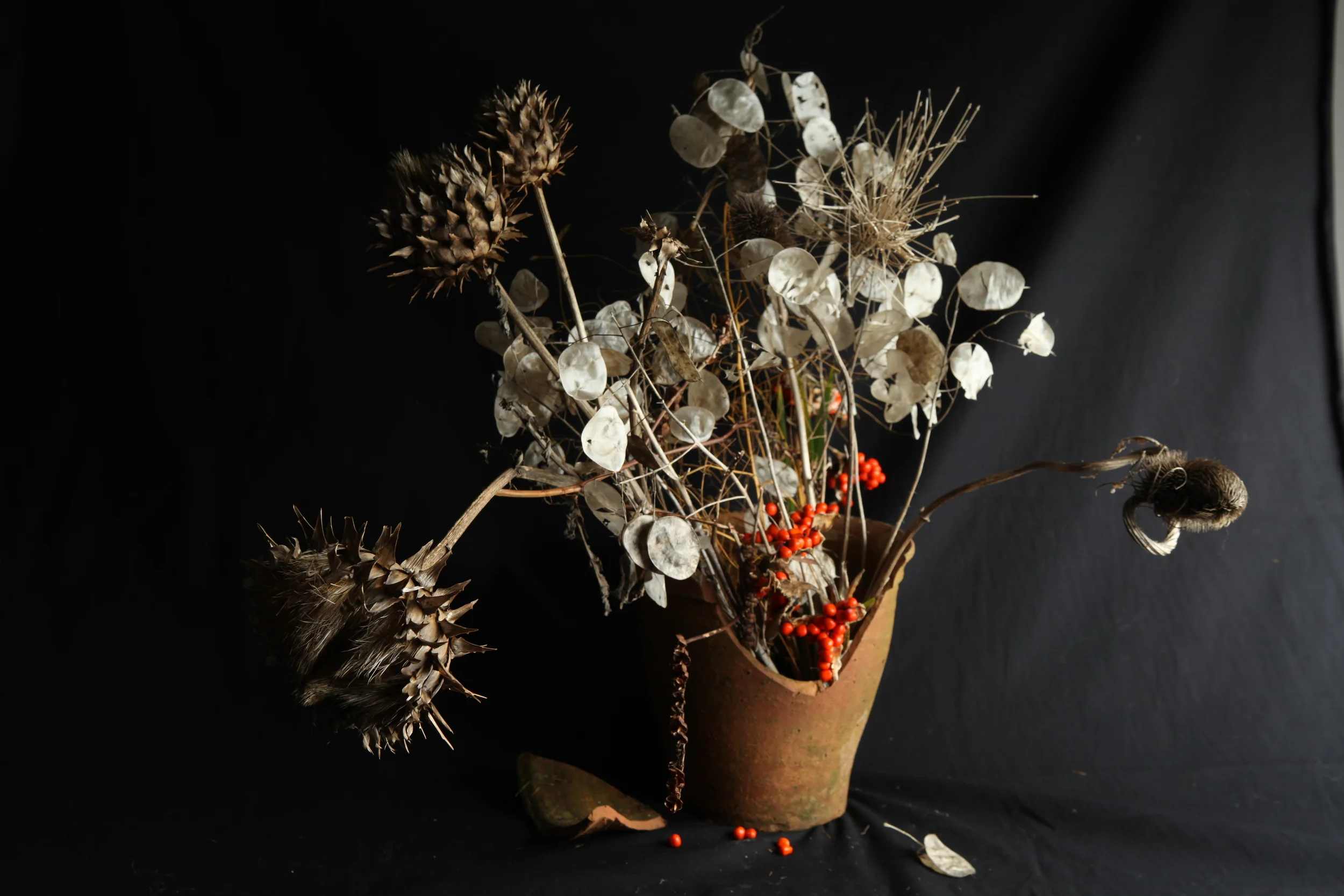 Autumn assemblage (from various plots)