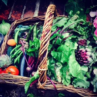 Karen's plot produce