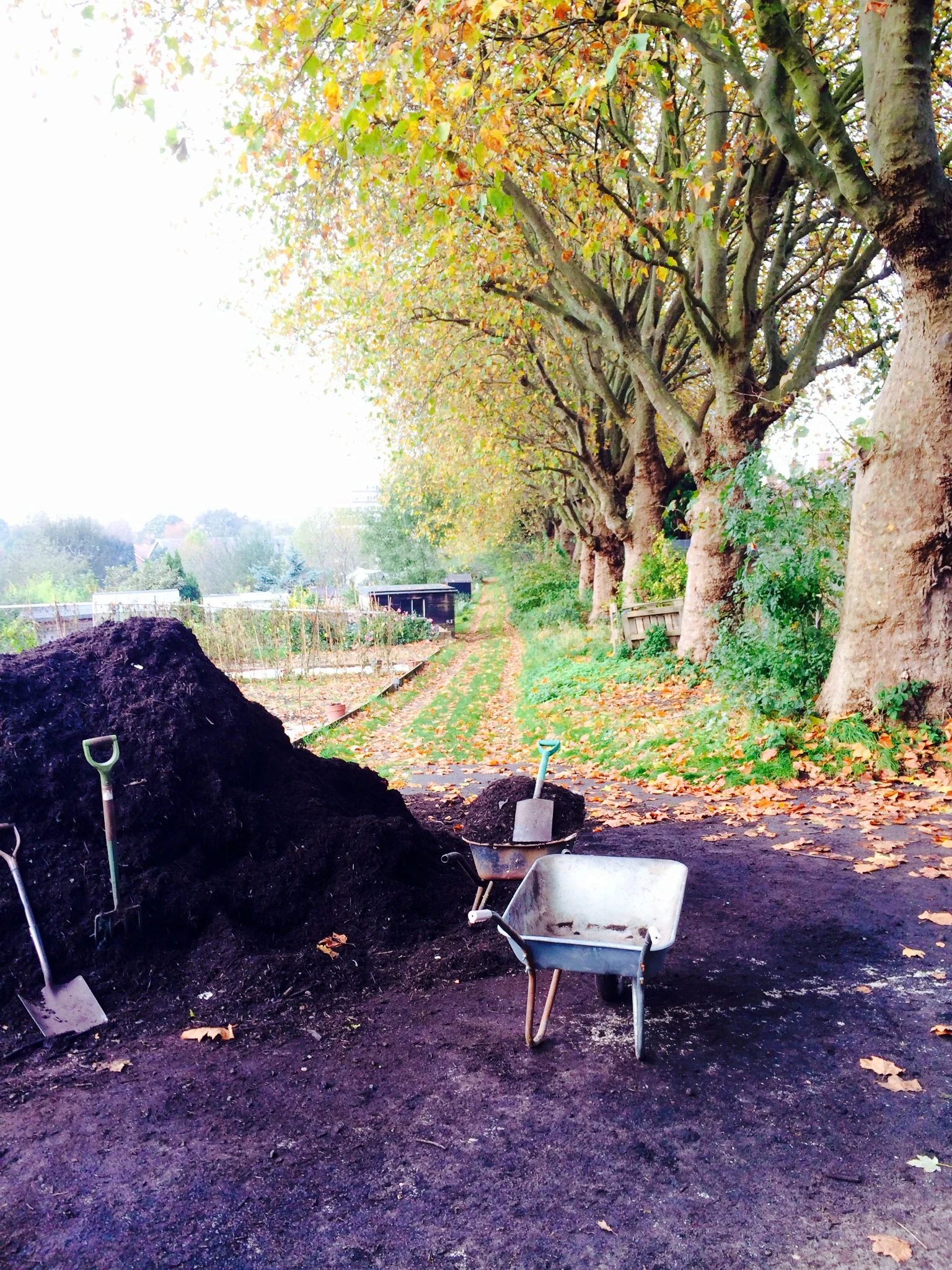 Compost day