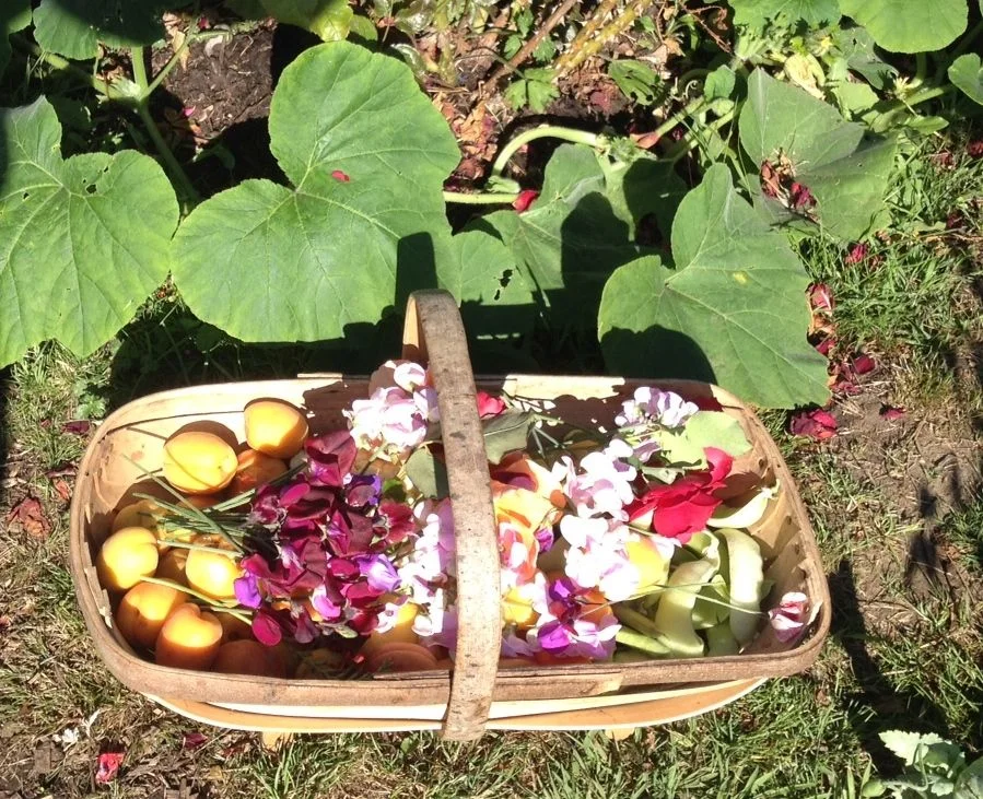 summer bounty
