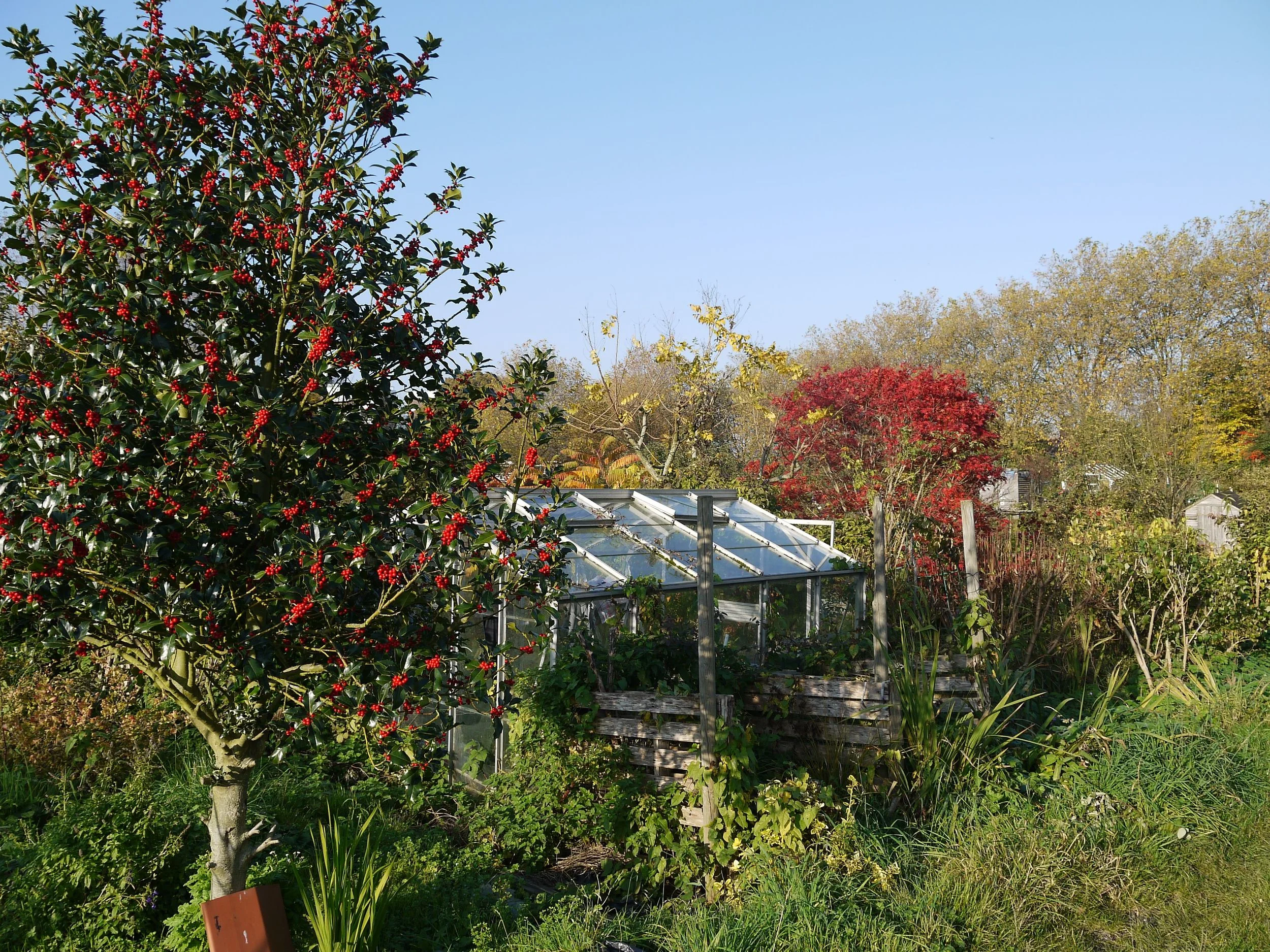 Autumn colour