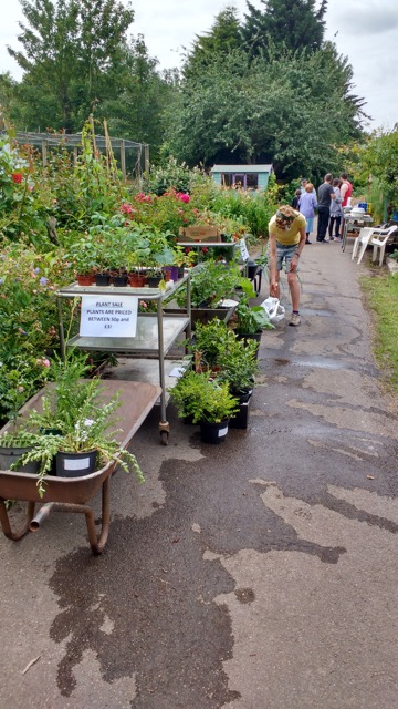 The Plant Sale