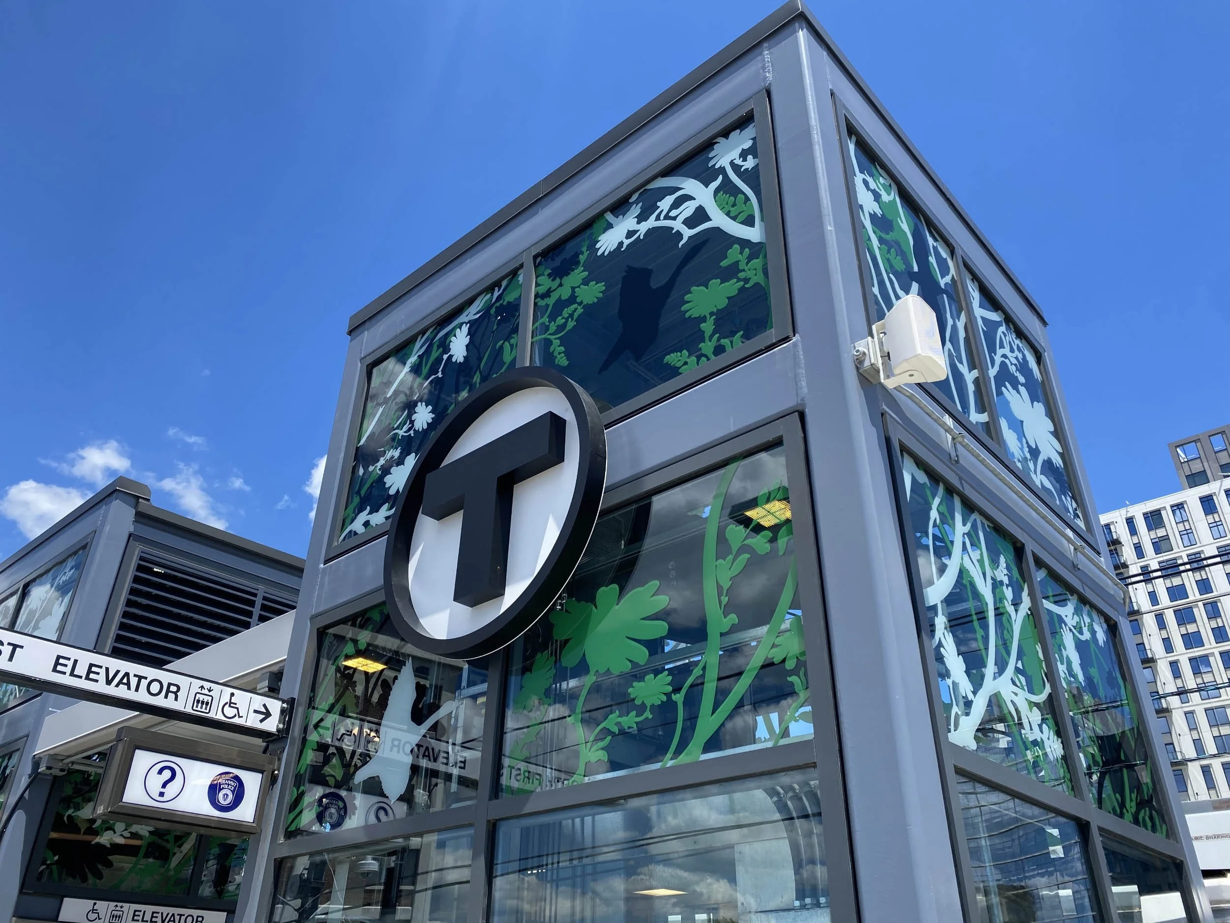 Details from THICKET