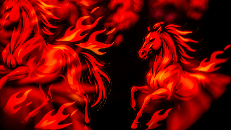 薬院ブログ：ウィンザー英会話(ケンジントン英会話薬院校)ブログ：The Year of the Fire Horse