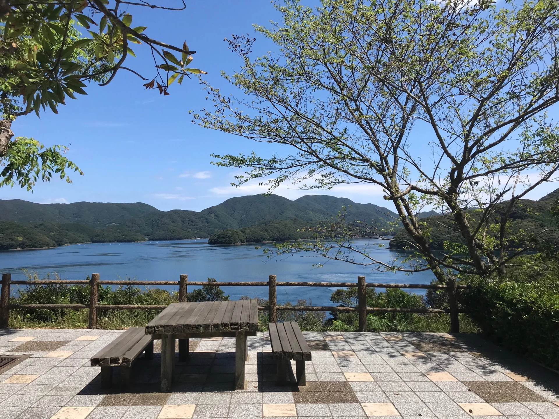 S_8390925319867.jpg