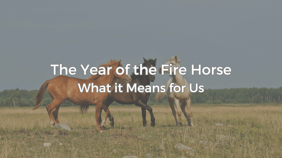 The Year of the Fire Horse -What it Means for Us-