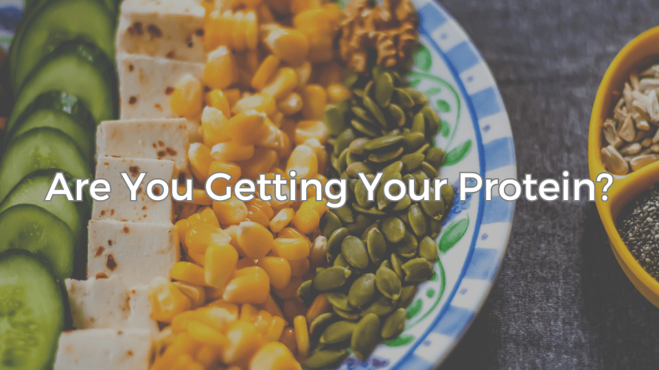 薬院ブログ：ウィンザー英会話(ケンジントン英会話薬院校)ブログ：Are You Getting Your Proteins?