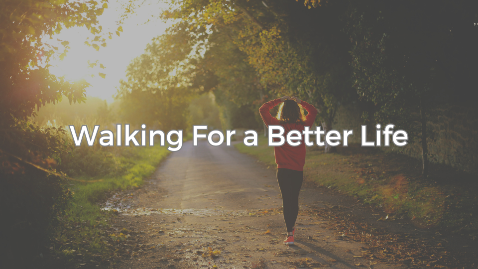 薬院ブログ：ウィンザー英会話(ケンジントン英会話薬院校)ブログ：Walking for a better life