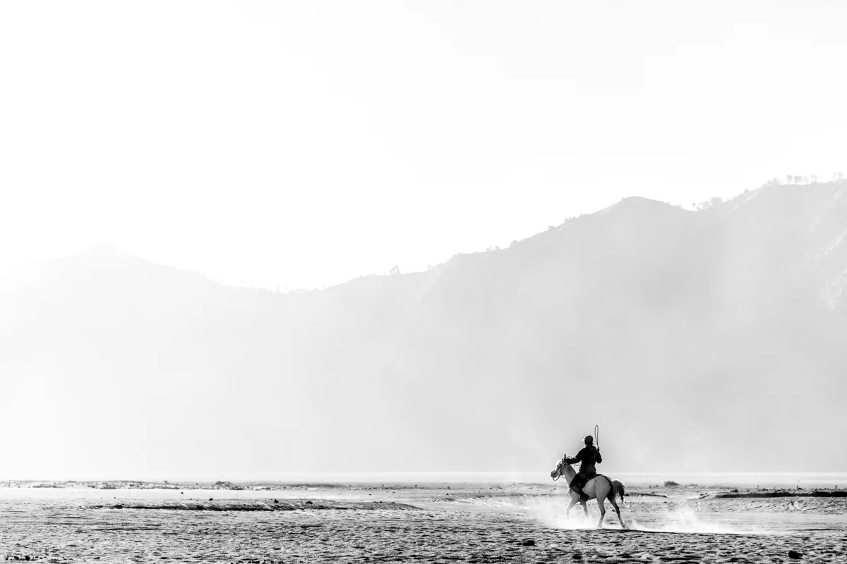 brodieknox.photography_-4.jpg