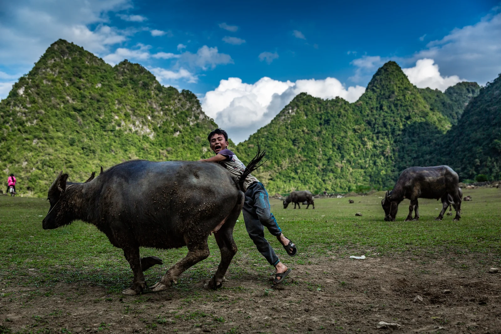 Buffalo Boy