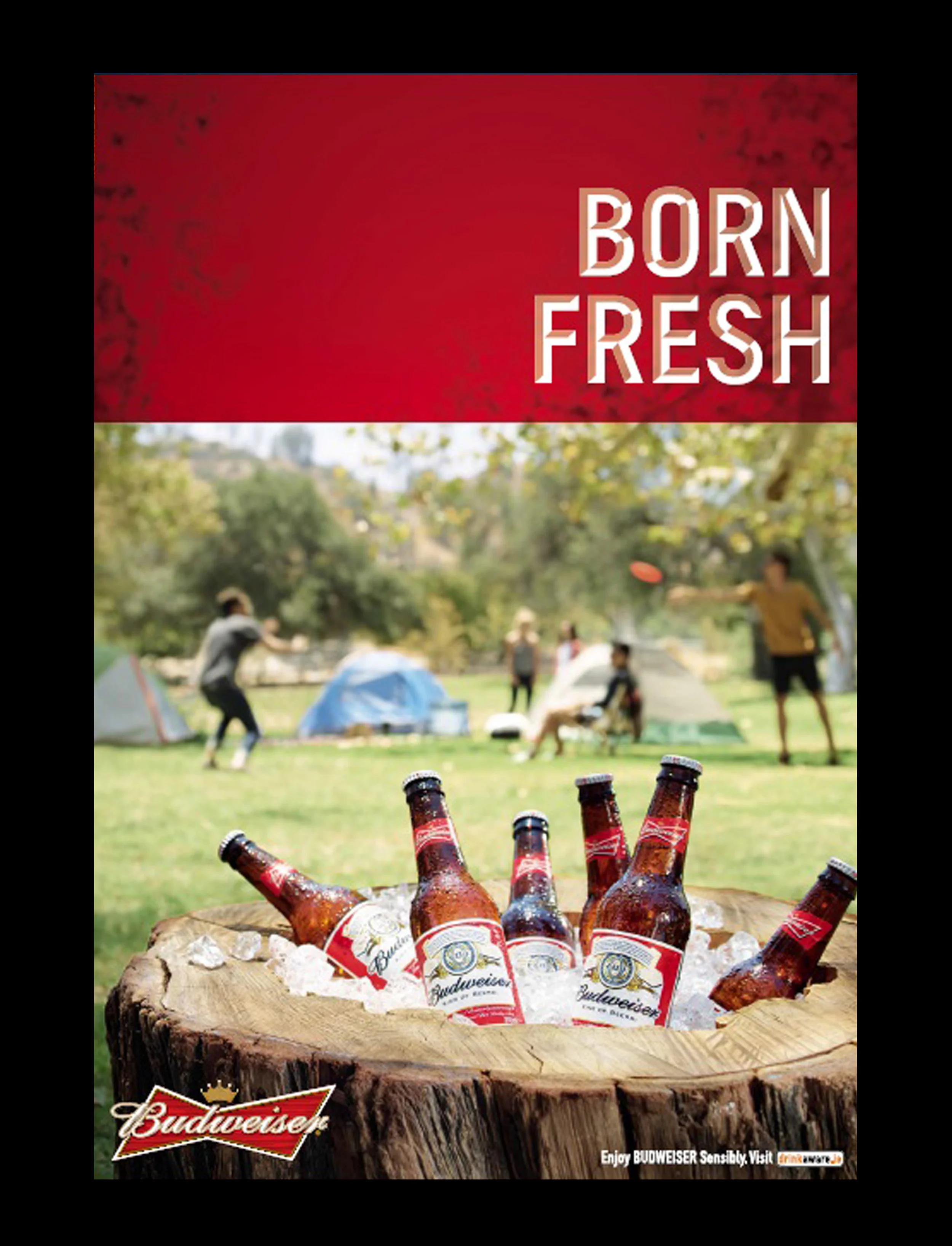 Budweiser.jpg