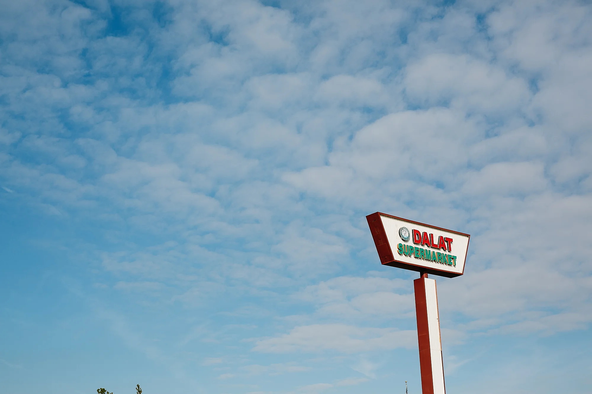 tednghiemphotoctobercalifornia-55.jpg