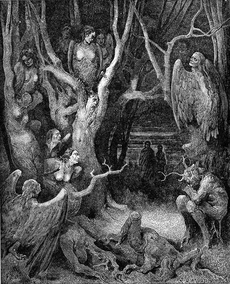 Gustave Dore 's engraving of the Harpies in the wood of the suicides.