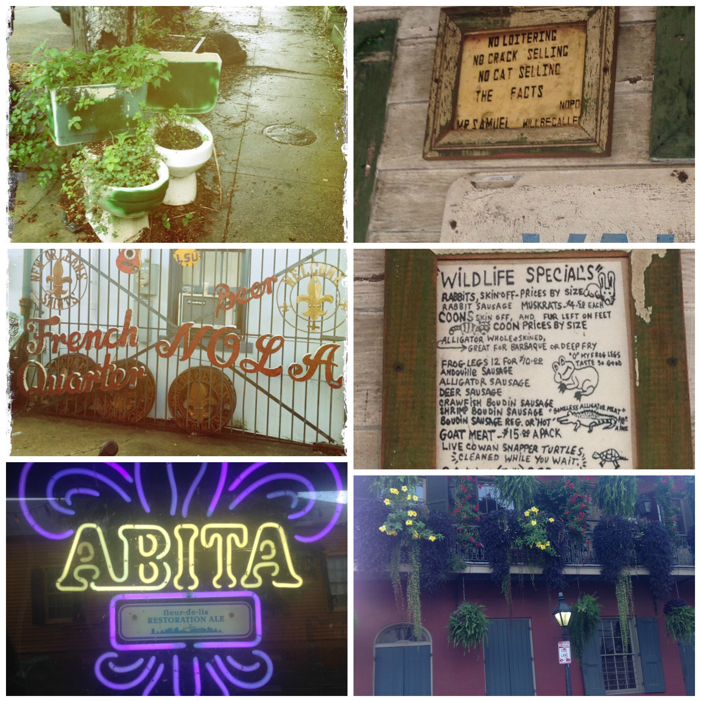 Random NOLA sights
