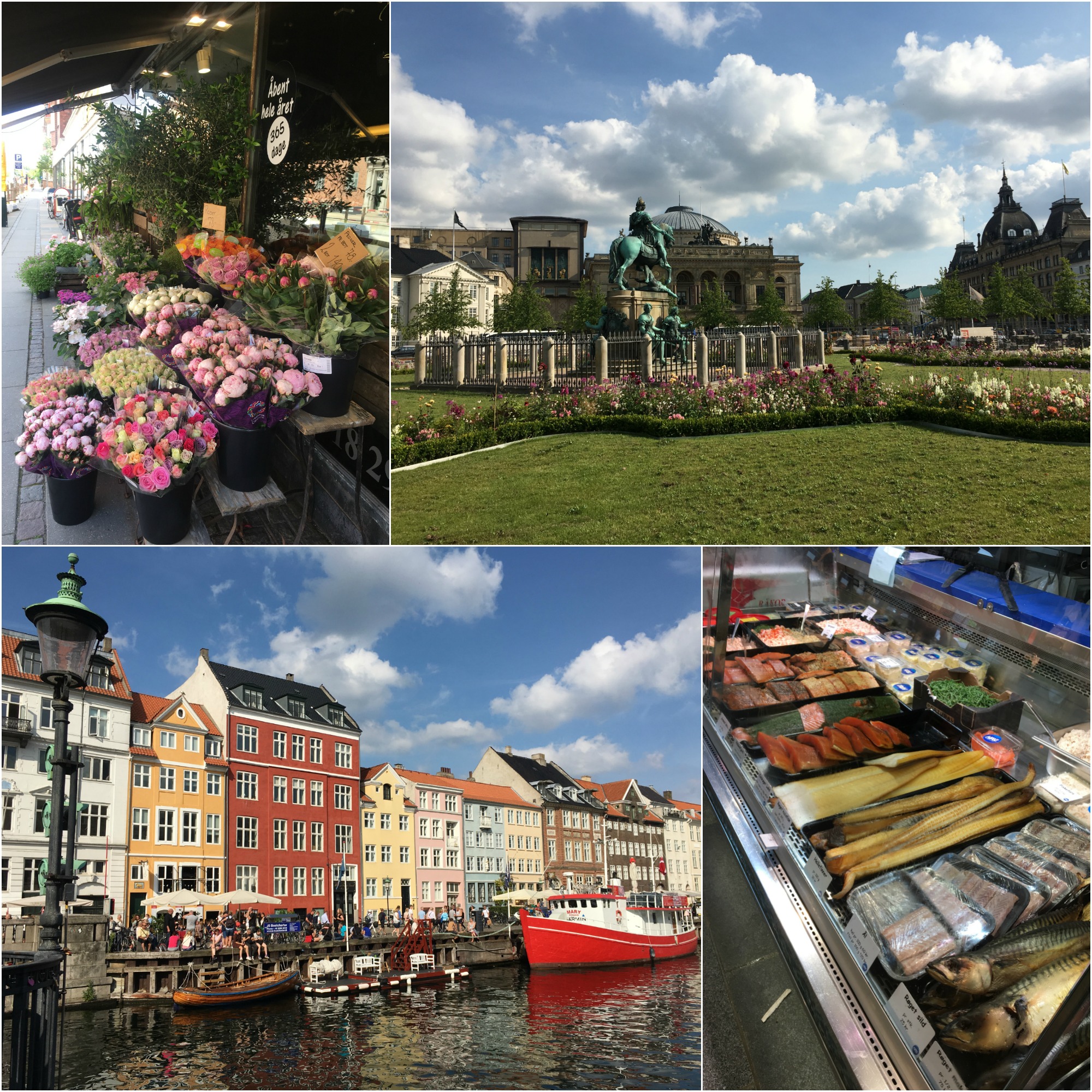 Moments from Copenhagen: flowers, colorful houses, and lots of smoked fish. Not too shabby!