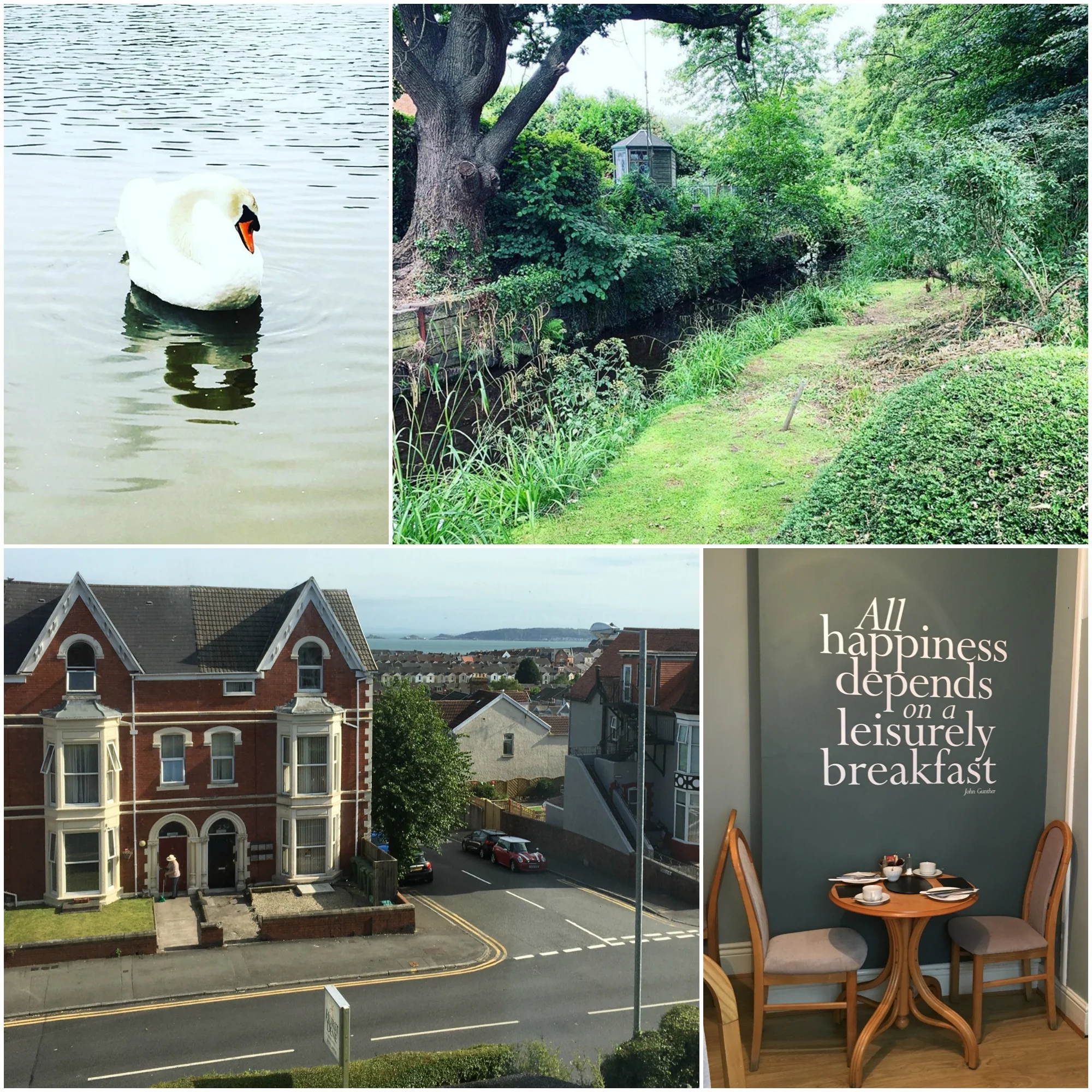 An elegant swan and verdant footpath near the Concorde Club; bay views and wise words in Swansea, Wales.