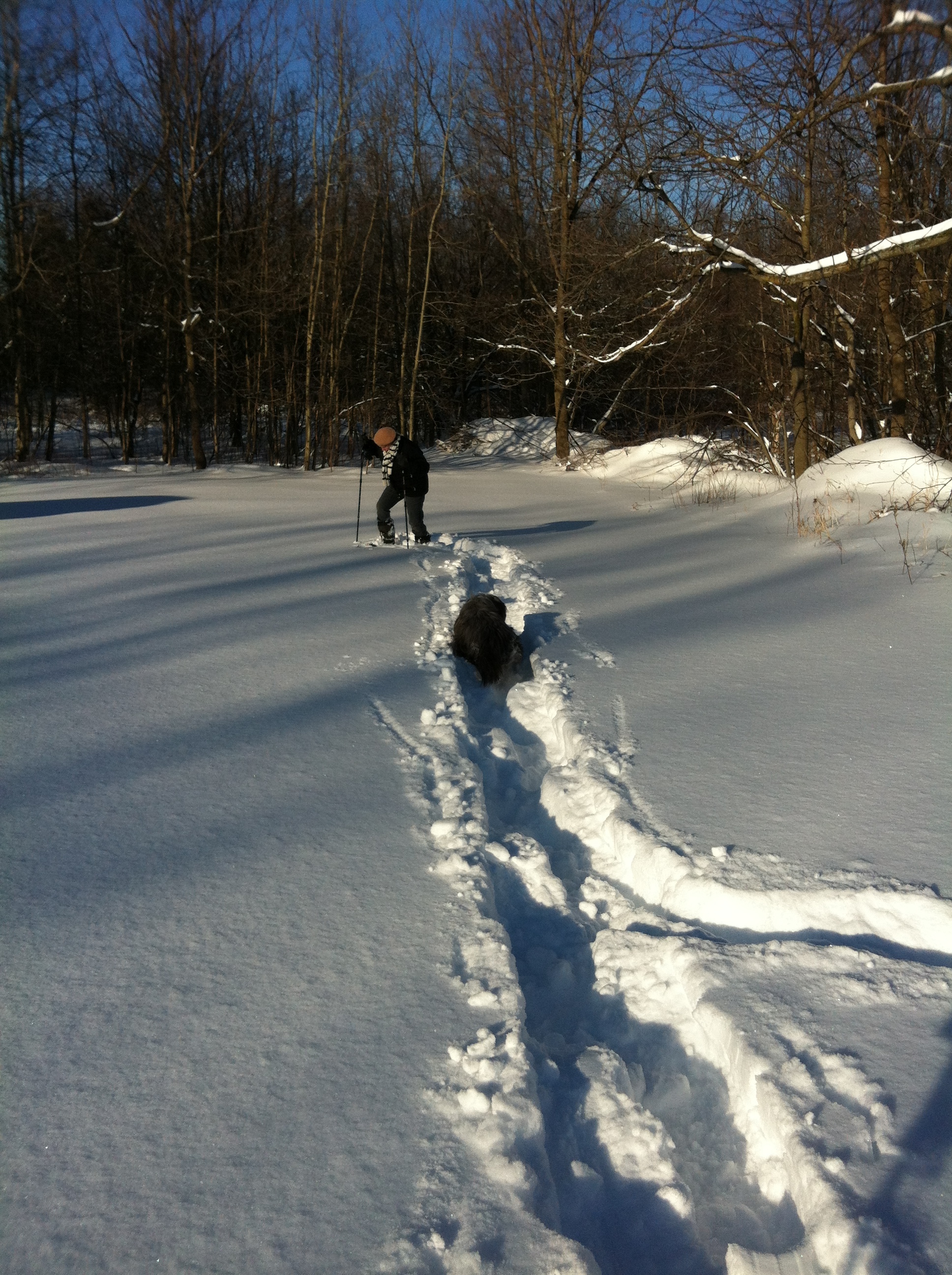 IMG_0098.JPG