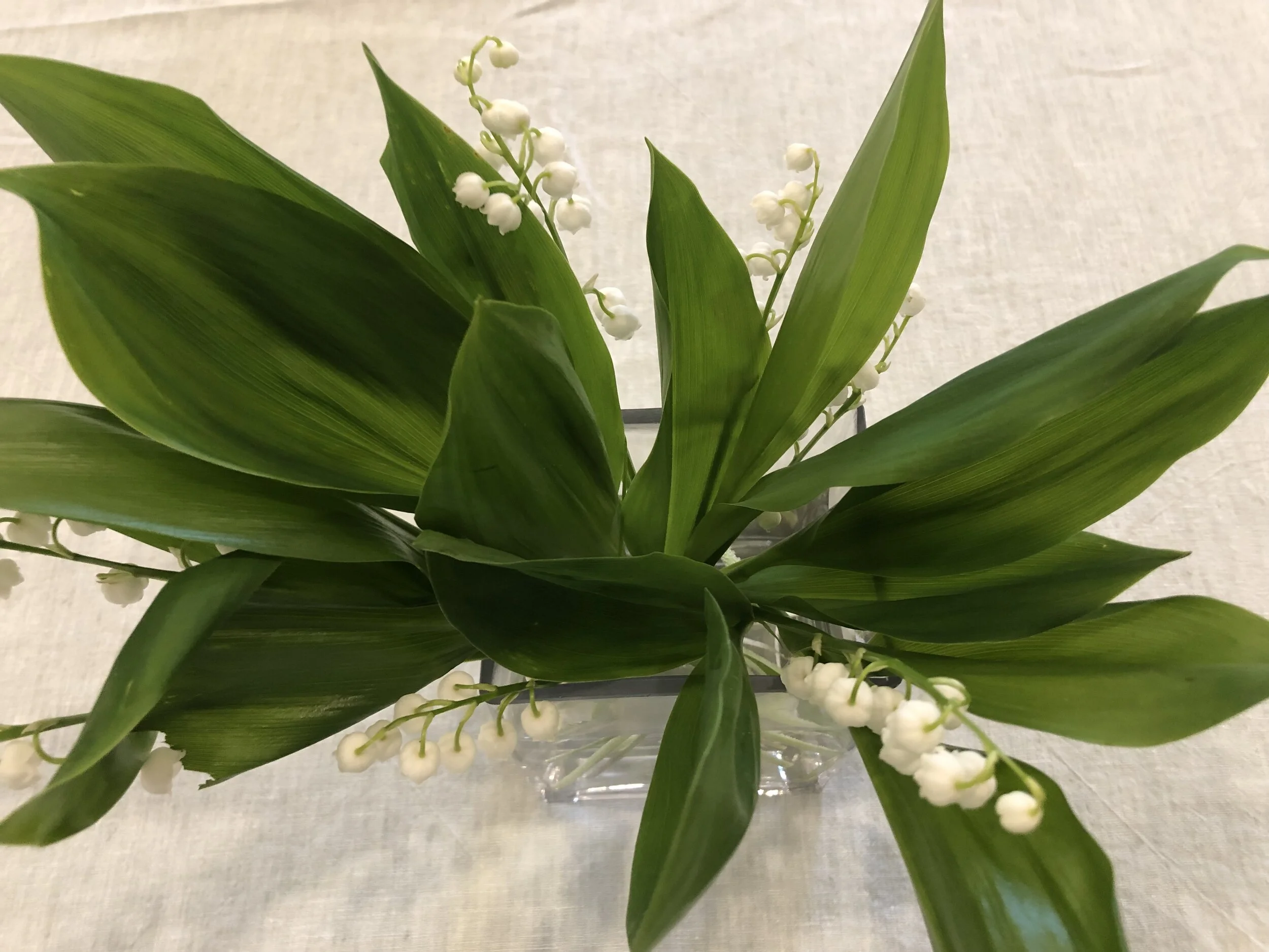 Hunger of the Heart, Palm Sunday Podcast, April 5, 2020