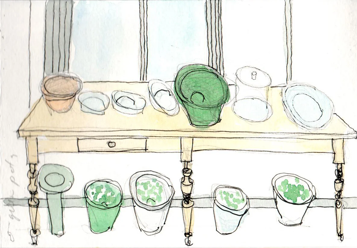 scan0007.jpg