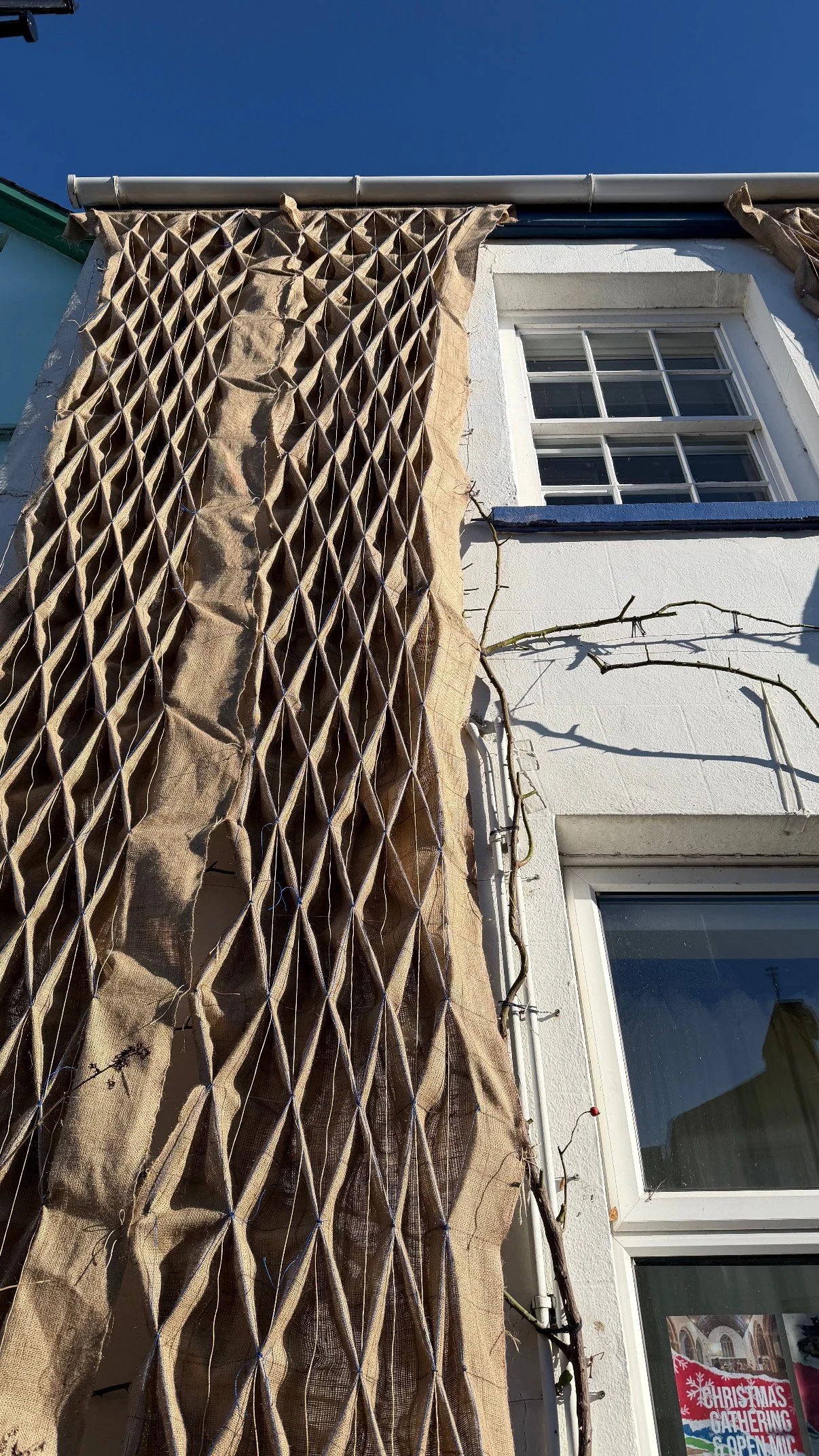 Image credit Annie Coggan JPG copy.JPG