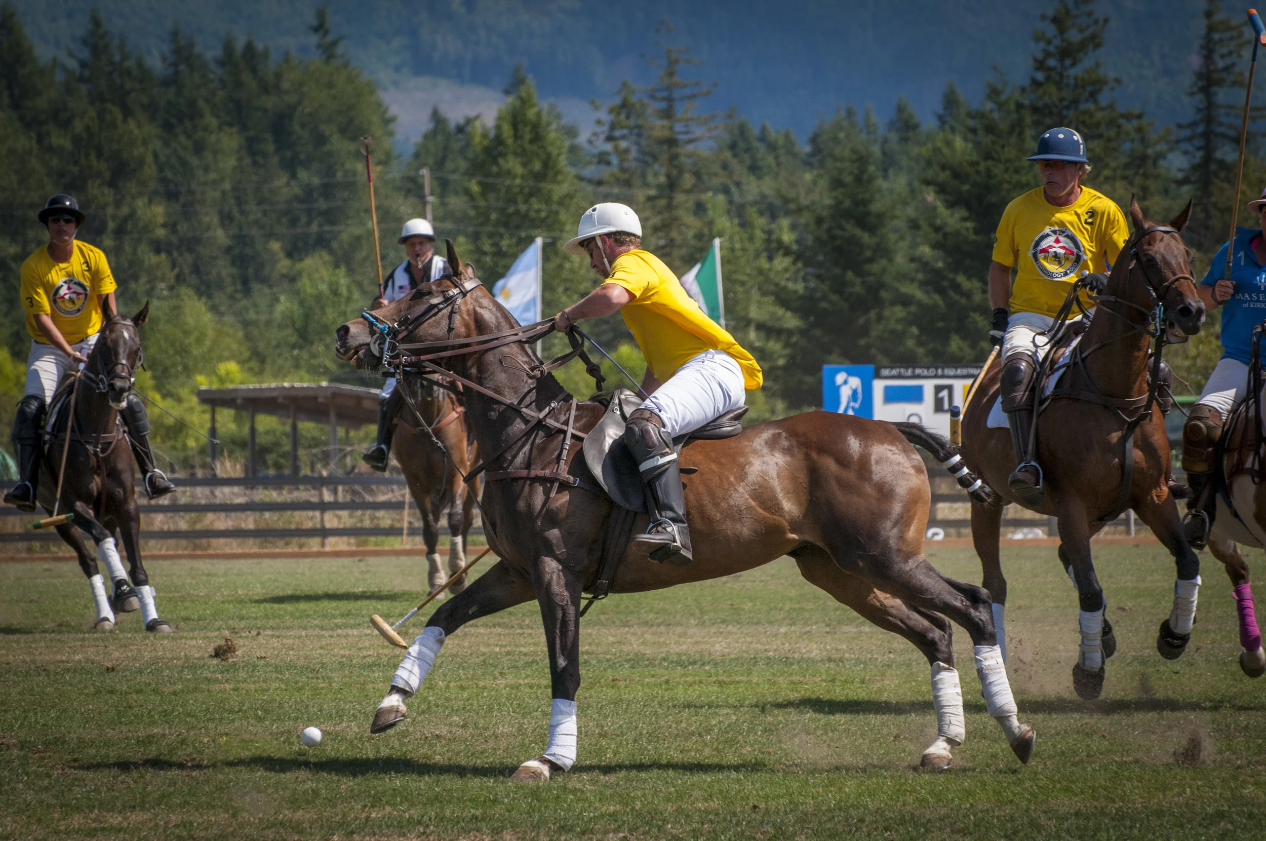 Janet's Masarati vs Tentnology Final-6.jpg