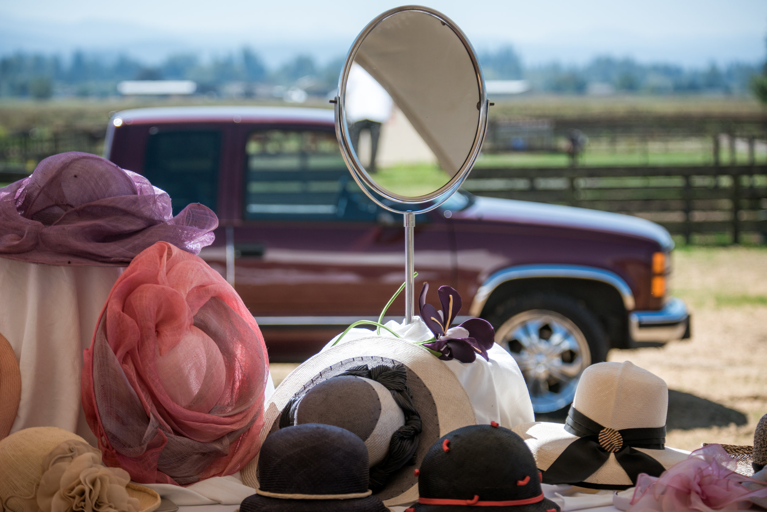 SHP_2354.jpg