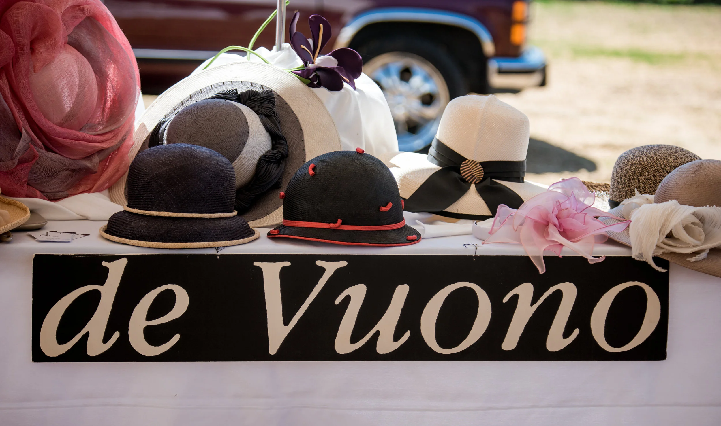 SHP_2356.jpg