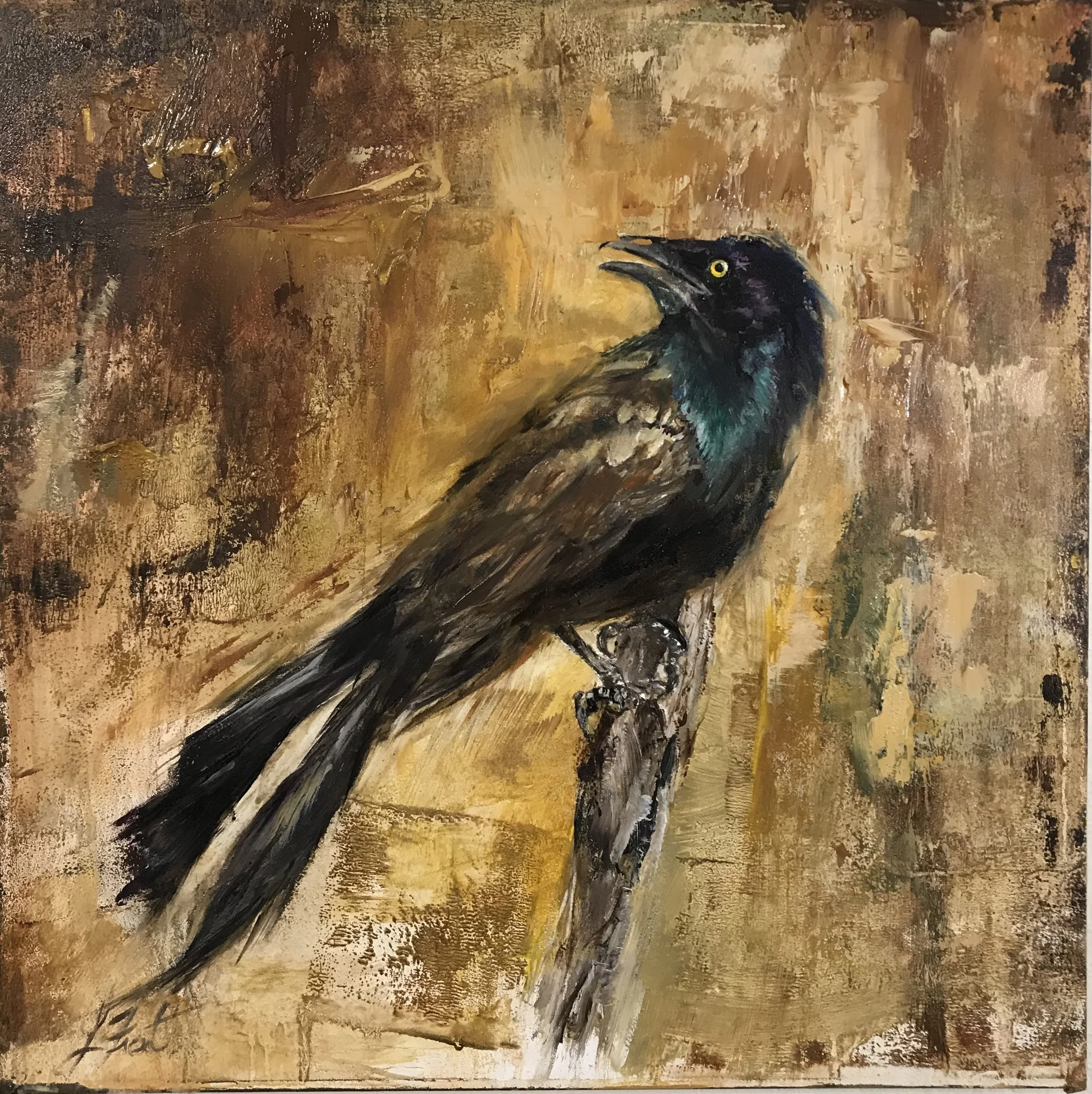 Grackle