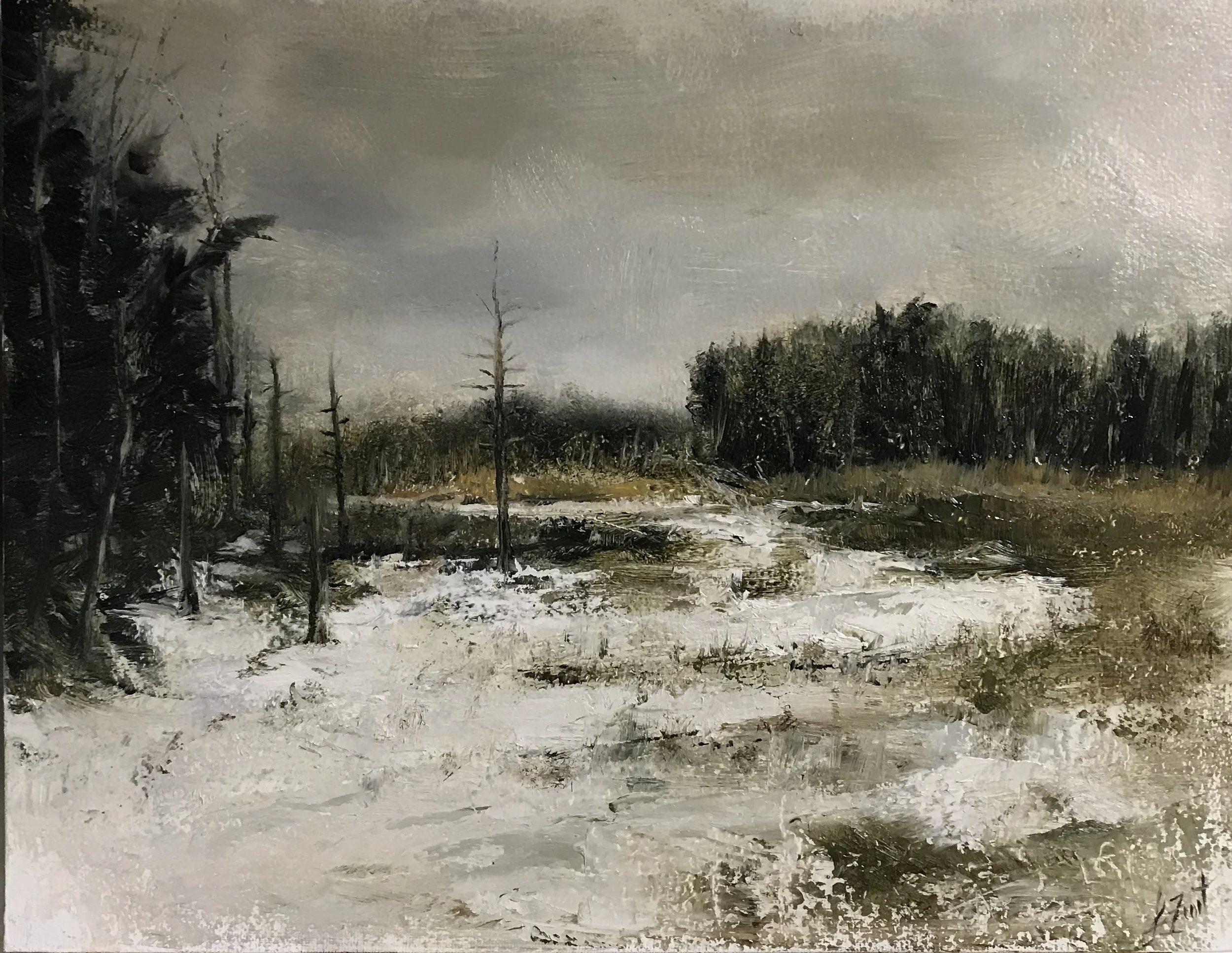 Boundless Woods