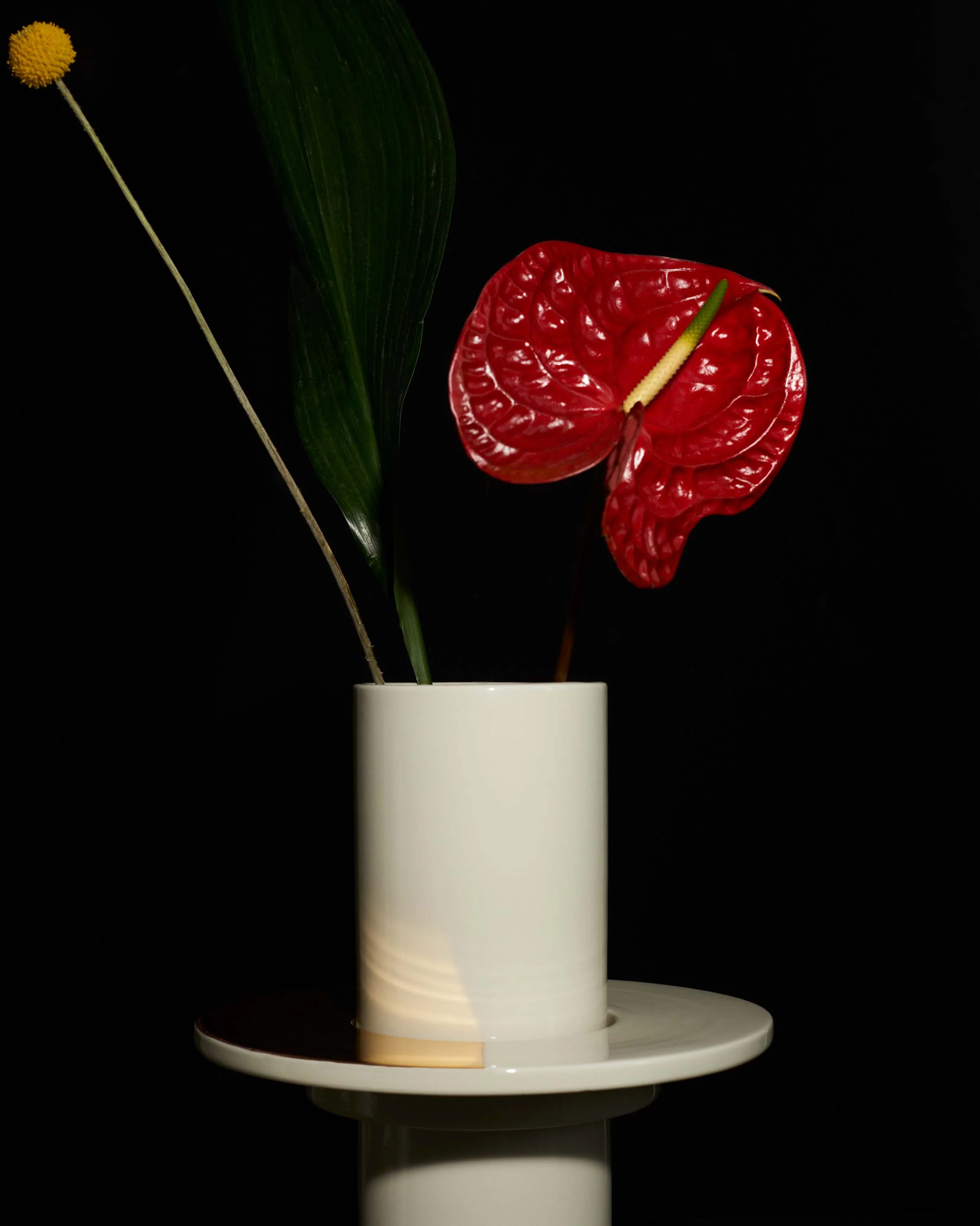 ATLAS_18_DSC_9040.jpg