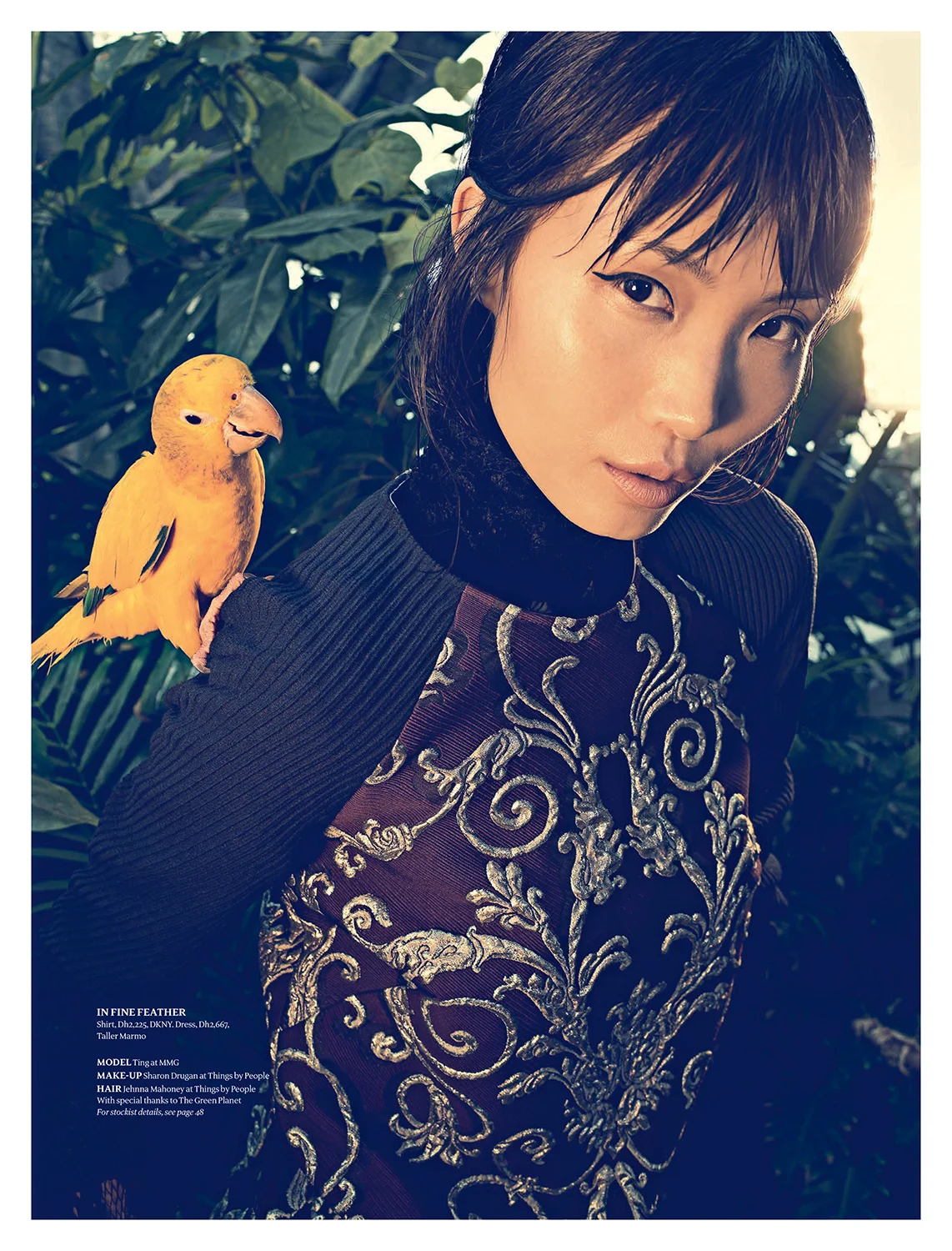 Luxury_09.jpg