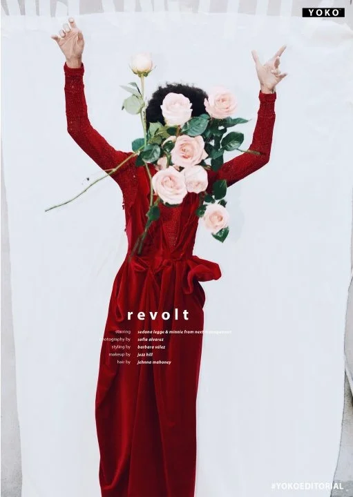 RevoltTitulo-1024x720-01.jpeg