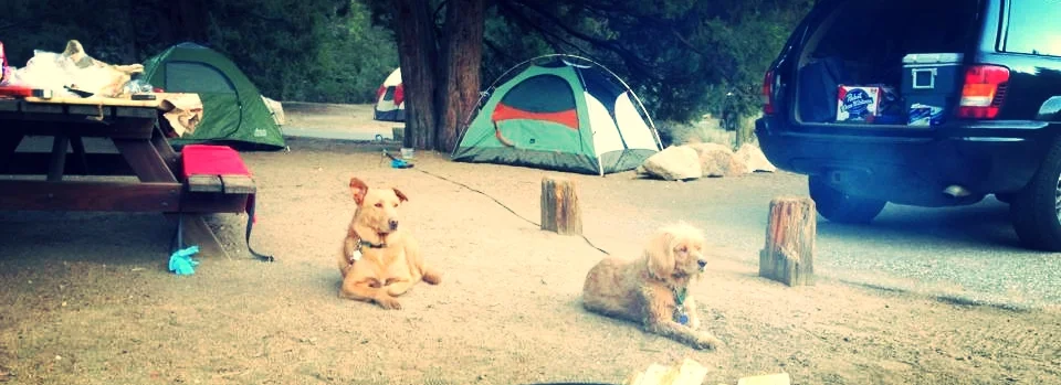 camp.jpg
