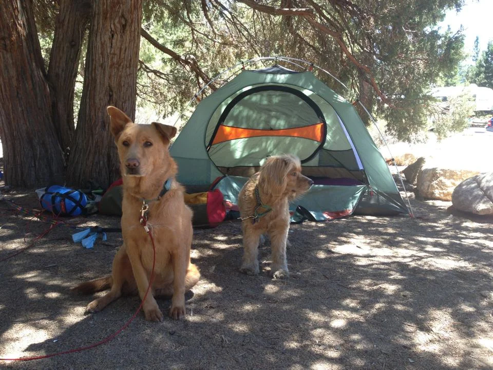 camp4.jpg