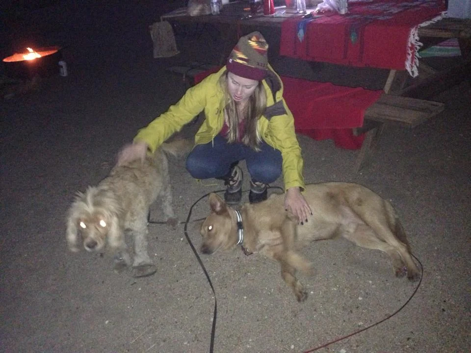 camp9.jpg