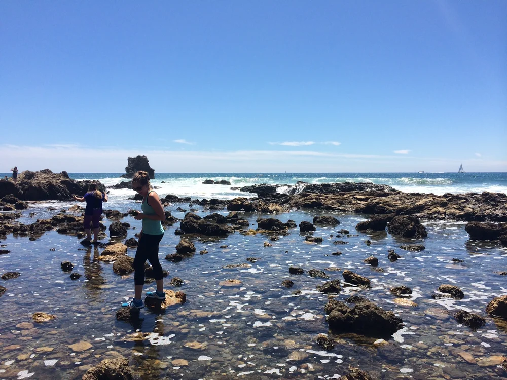 beach7.JPG