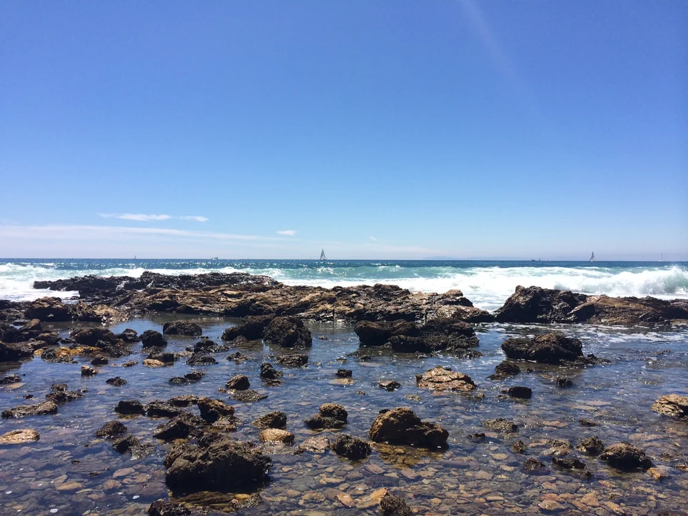 beach8.JPG