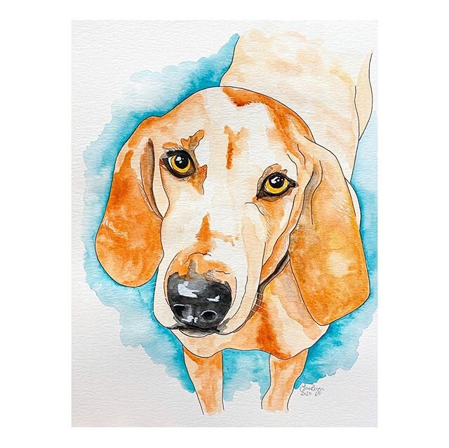 Quarantine doggo #9. Sweet Reba for @annabelle25 and @drcacciatore ❤️❤️❤️ #laurenbiggsart #watercolor #reba ##strathmorepaper #koiwatercolors #micronpen #dogart #dogsofinstagram #roaddawg