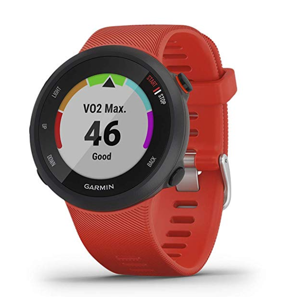 forerunner 24