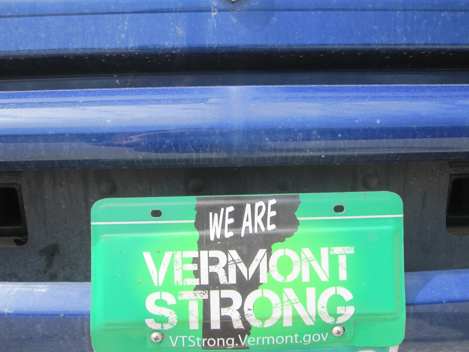 Contact — Earth and Sea Fish Market