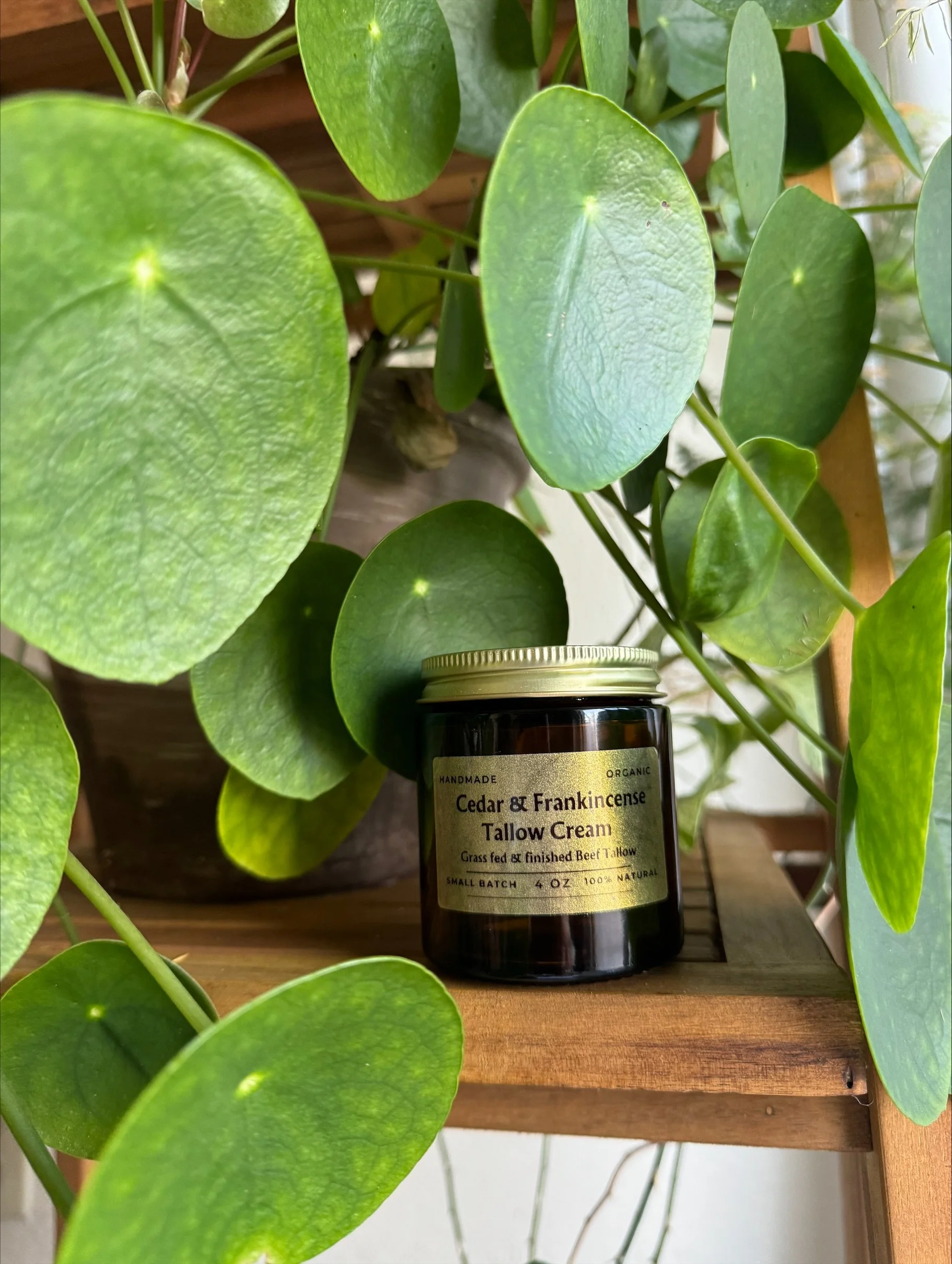 Cedar & Frankincense Tallow Cream