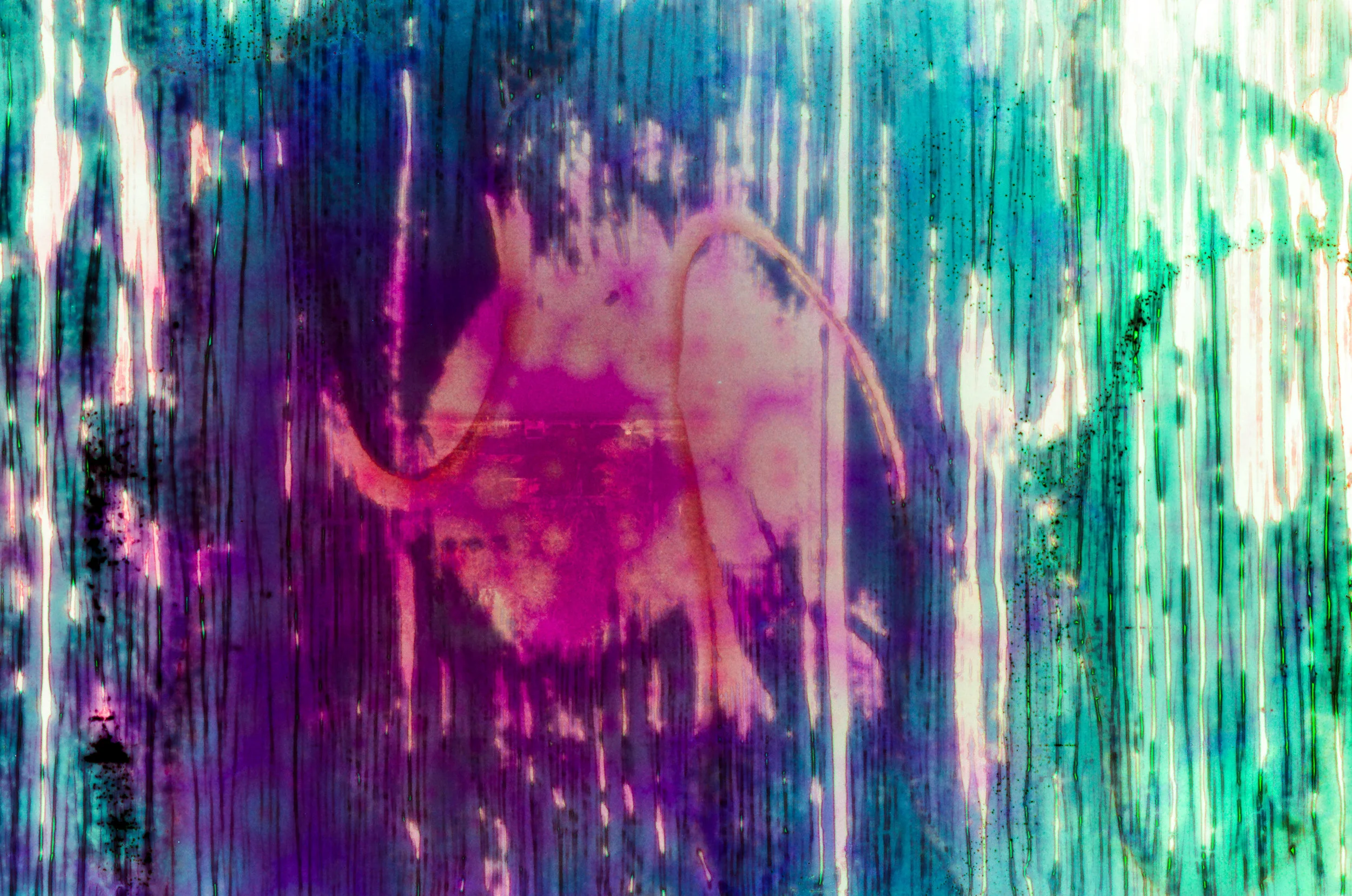 000062150035.jpg